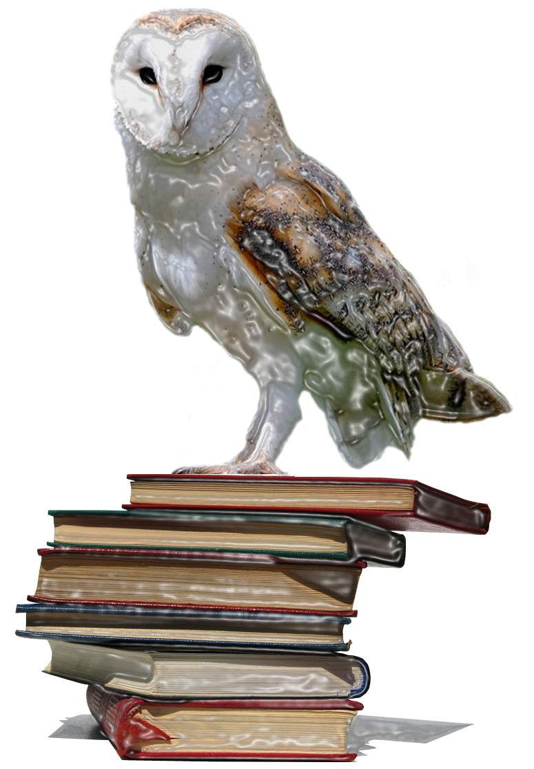 Ing. Lucia  Paulovičová